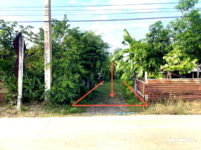 Land for sale : LAND 226 Sq.w. Noen Kham Chainat for 169,000