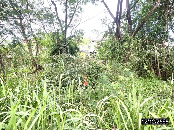 รูป ที่ดินว่างเปล่า 100 ตร.วา เกษมทรัพย์ กรีนวิลเลจ เมืองขอนแก่น ขอนแก่น 1.3M - รูปที่ 6/15