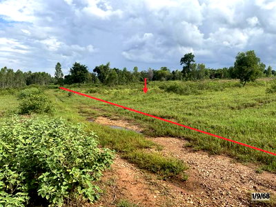 Land for sale : LAND 21835 Sq.w. Mancha Khiri Khon Kaen for 4.9M