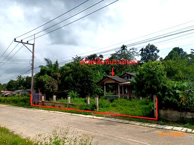 บ้านเดี่ยว กระบี่ : บ้านเดี่ยว 372 ตร.วา เหนือคลอง กระบี่ 2.9M