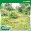 listing thumbnail image 22