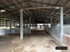 listing thumbnail image 34