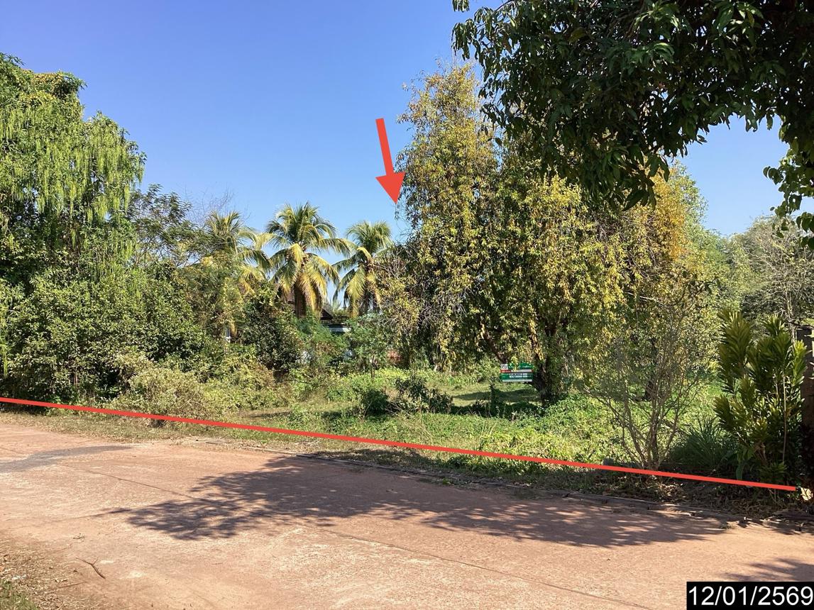 picture LAND 400 Sq.w. Nongkai for 1.4M - 14/25