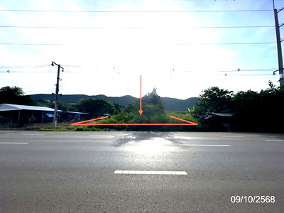 ขายที่ดิน : ที่ดินว่างเปล่า 1887 ตร.วา วิเชียรบุรี เพชรบูรณ์ 6.8M