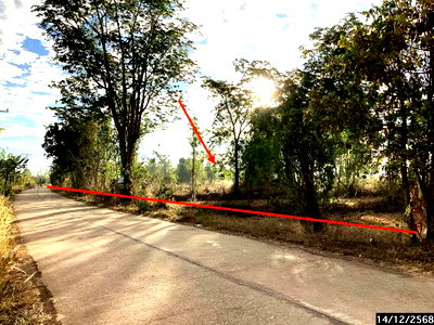 ขายที่ดิน : ที่ดินว่างเปล่า 1973 ตร.วา อากาศอำนวย สกลนคร 813,000