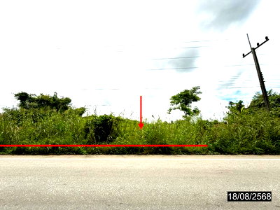 ขายที่ดิน : ที่ดินว่างเปล่า 6268.9 ตร.วา เมืองกำแพงเพชร กำแพงเพชร 6.1M