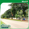 listing thumbnail image 12