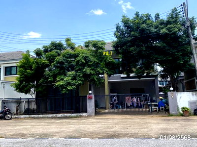 บ้านเดี่ยว ขอนแก่น : บ้านเดี่ยว 60 ตร.วา ยลภา เมืองขอนแก่น ขอนแก่น 3.3M