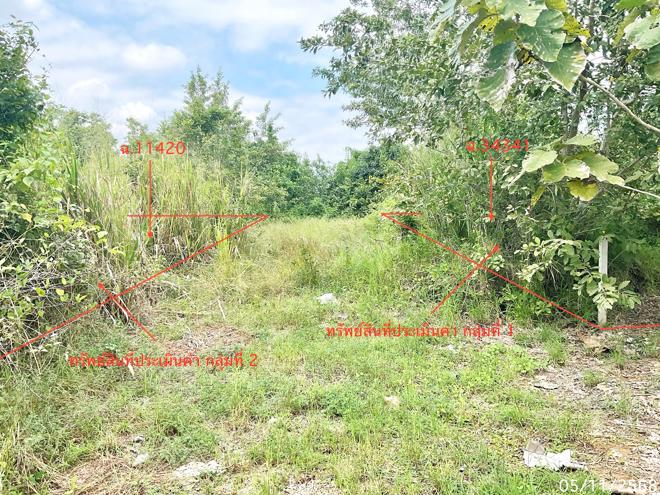 รูป ที่ดินว่างเปล่า 308 ตร.วา ปราณบุรี ประจวบคีรีขันธ์ 1.2M - รูปที่ 5/25