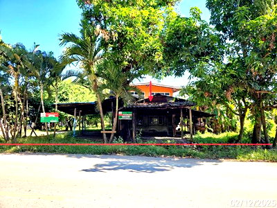 บ้านเดี่ยว เพชรบูรณ์ : บ้านเดี่ยว 1127 ตร.วา หล่มสัก เพชรบูรณ์ 1.3M