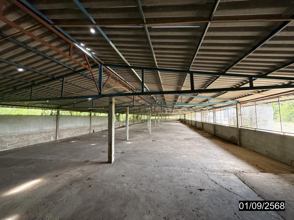 picture FACTORY 1848 Sq.w. Phu Khieo Chaiyaphum for 4.3M - 35/45