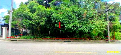 Land for sale : LAND 117 Sq.w. Sungai Padi Narathiwat for 1.4M
