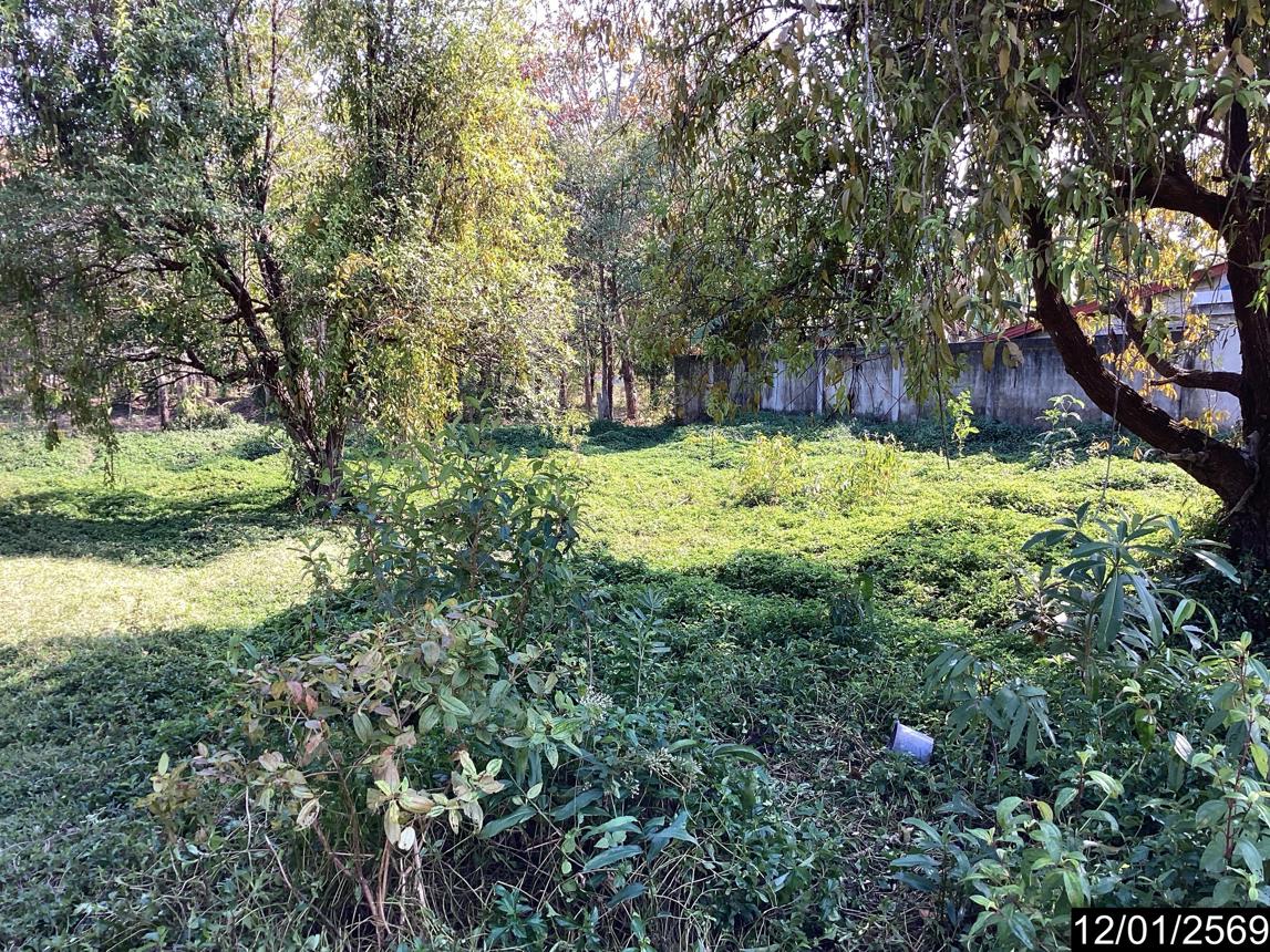 picture LAND 400 Sq.w. Nongkai for 1.4M - 16/25