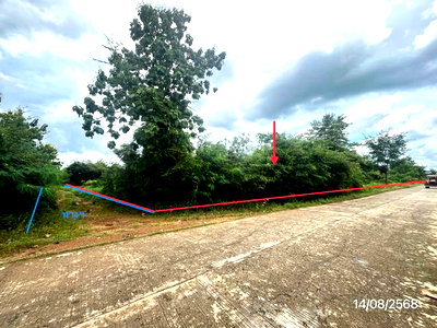 Land for sale Nong Phai Phetchabun : LAND 14890 Sq.w. Nong Phai Phetchabun for 9.8M