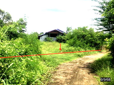 Houses for sale : HOME 671 Sq.w. Phu Khieo Chaiyaphum for 943,000
