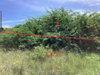 listing thumbnail image 15