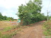 listing thumbnail image 34