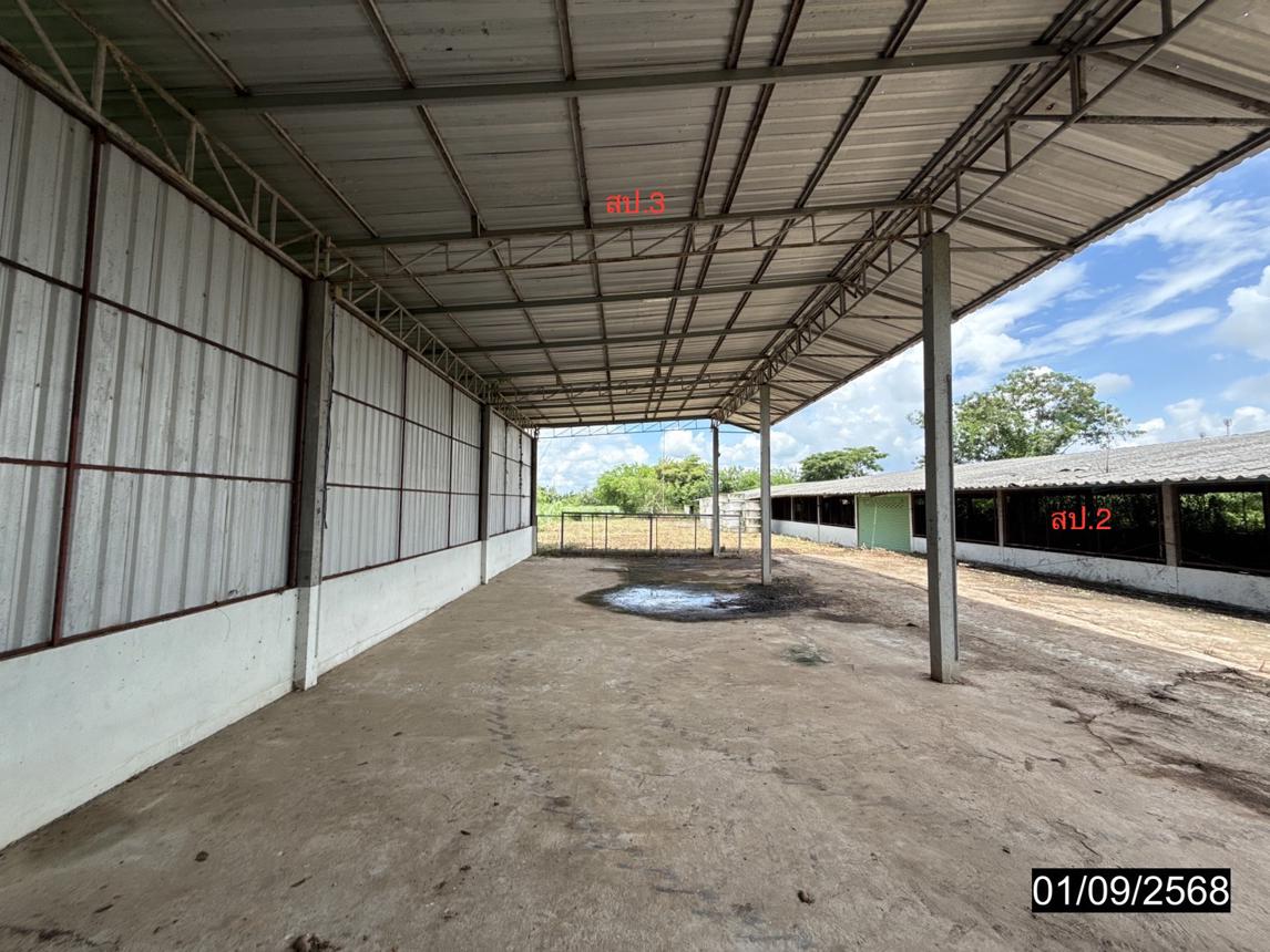 picture FACTORY 1848 Sq.w. Phu Khieo Chaiyaphum for 4.3M - 38/45