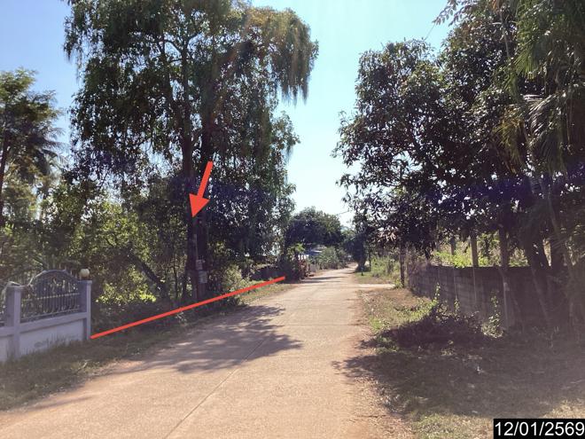 picture LAND 400 Sq.w. Nongkai for 1.4M - 11/25