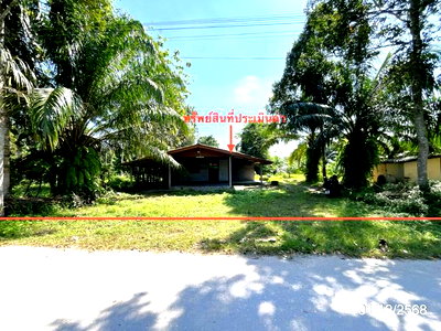 Houses for sale Surat Thani : HOME 174 Sq.w. Wiang Sa Surat Thani for 1M