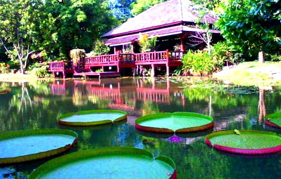 Land for sale : Beautiful Teakwood House with Garden Land size: 20 Rai 2 Ngan 59 Sq.wah Located in Kaeng Khoi , Saraburi Attractive property – Price negotiable