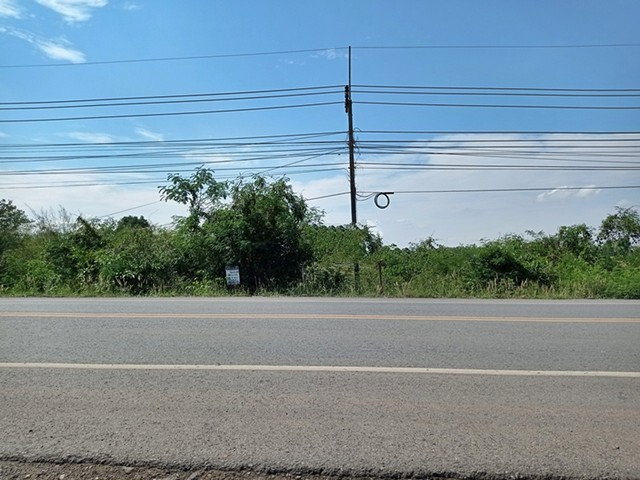 รูป F3-0439 ขายที่ดินเปล่า ต. นากอก อ.ศรีบุญเรือง จ.หนองบัวลำภู - รูปที่ 1/8