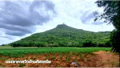 Land for sale Phetchabun : For Sales volcanic land in Ban Nong Sakae Si Kok Sa-at Subdistrict, Si Thep District, Phetchabun Province