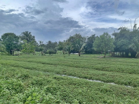 FOR SALE  LAND PROPERTY  5760000 BAHT.