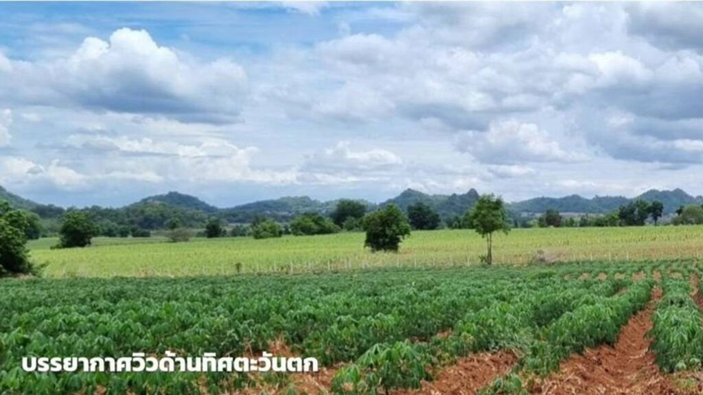 รูป ขายที่ดินภูเขาไฟ บ้านหนองสะแกสี่ ต.โคกสะอาด อ.ศรีเทพ จ.เพชรบูรณ์(ห่างทางหลวง หมายเลข21 8 กม.หรือ 15 นาทีจากตัวอำเภอ) - รูปที่ 8/14