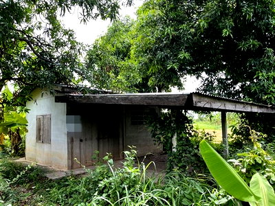 Land for sale Chai Badan Lopburi : FOR SALE  LAND PROPERTY  382000 BAHT.