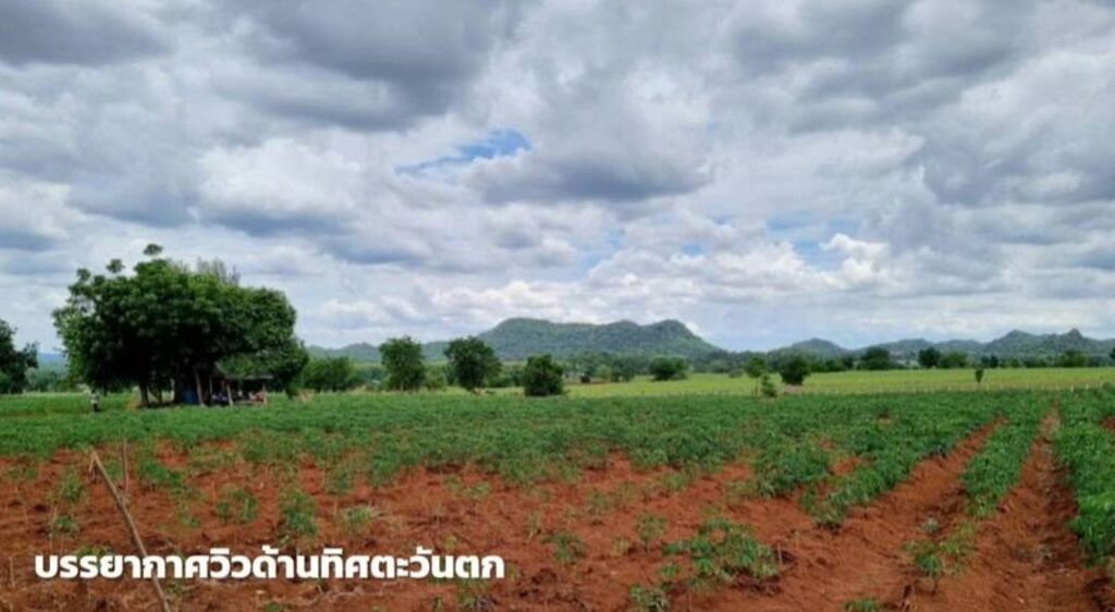 รูป ขายที่ดินภูเขาไฟ บ้านหนองสะแกสี่ ต.โคกสะอาด อ.ศรีเทพ จ.เพชรบูรณ์(ห่างทางหลวง หมายเลข21 8 กม.หรือ 15 นาทีจากตัวอำเภอ) - รูปที่ 7/14