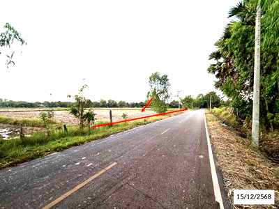 ขายที่ดิน : ที่ดินว่างเปล่า 2300 ตร.วา พังโคน สกลนคร 2.8M