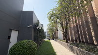 Facility 19