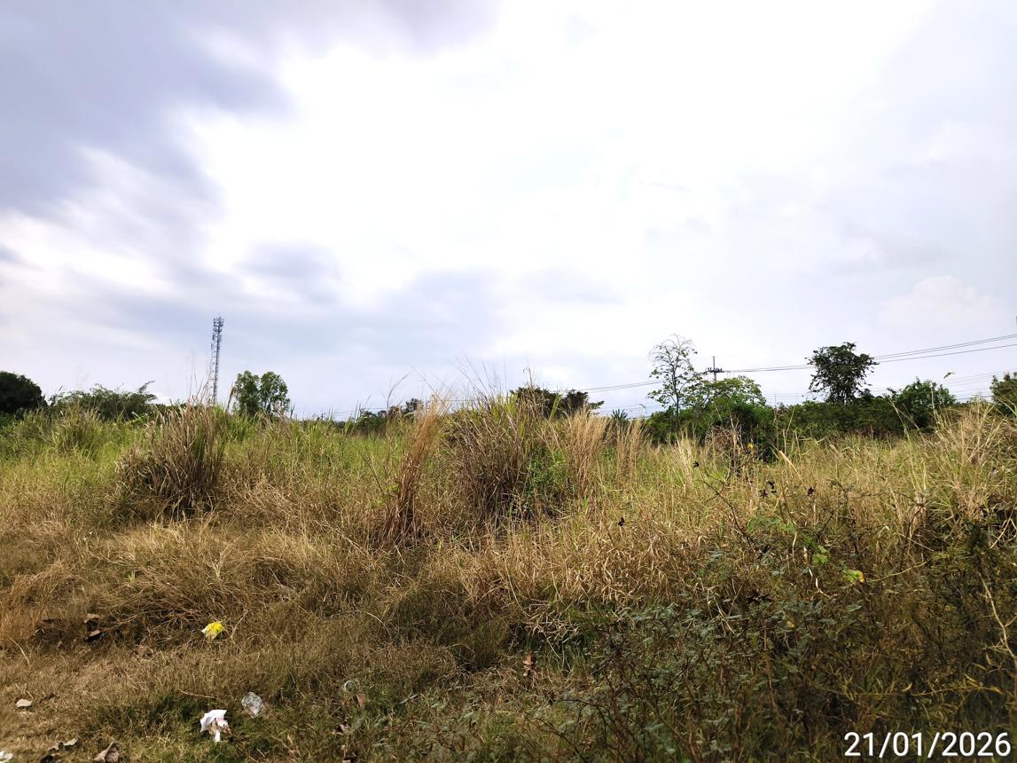 รูป ที่ดินว่างเปล่า 7762.8 ตร.วา บ้านฉาง ระยอง 333.1M - รูปที่ 14/25