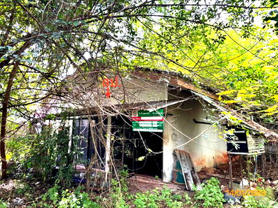 Houses for sale ม.ตาปี : HOME 318 Sq.w. Muang Surat Thani Surat Thani for 4.1M
