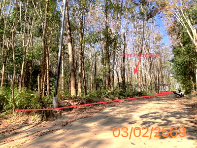 ขายที่ดิน : ที่ดินว่างเปล่า 1446 ตร.วา เกาะยาว พังงา 4M