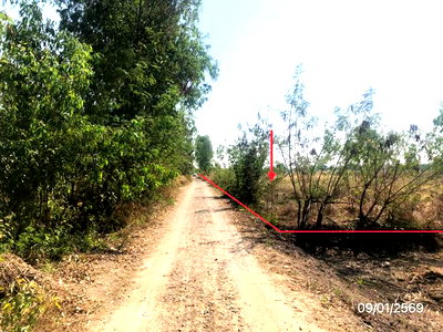 ขายที่ดิน : ที่ดินว่างเปล่า 6200.5 ตร.วา วังทอง พิษณุโลก 1.7M