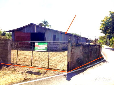 ขายโรงงาน : โกดัง 887.9 ตร.วา ดอกคำใต้ พะเยา 1.6M