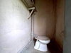 listing thumbnail image 36