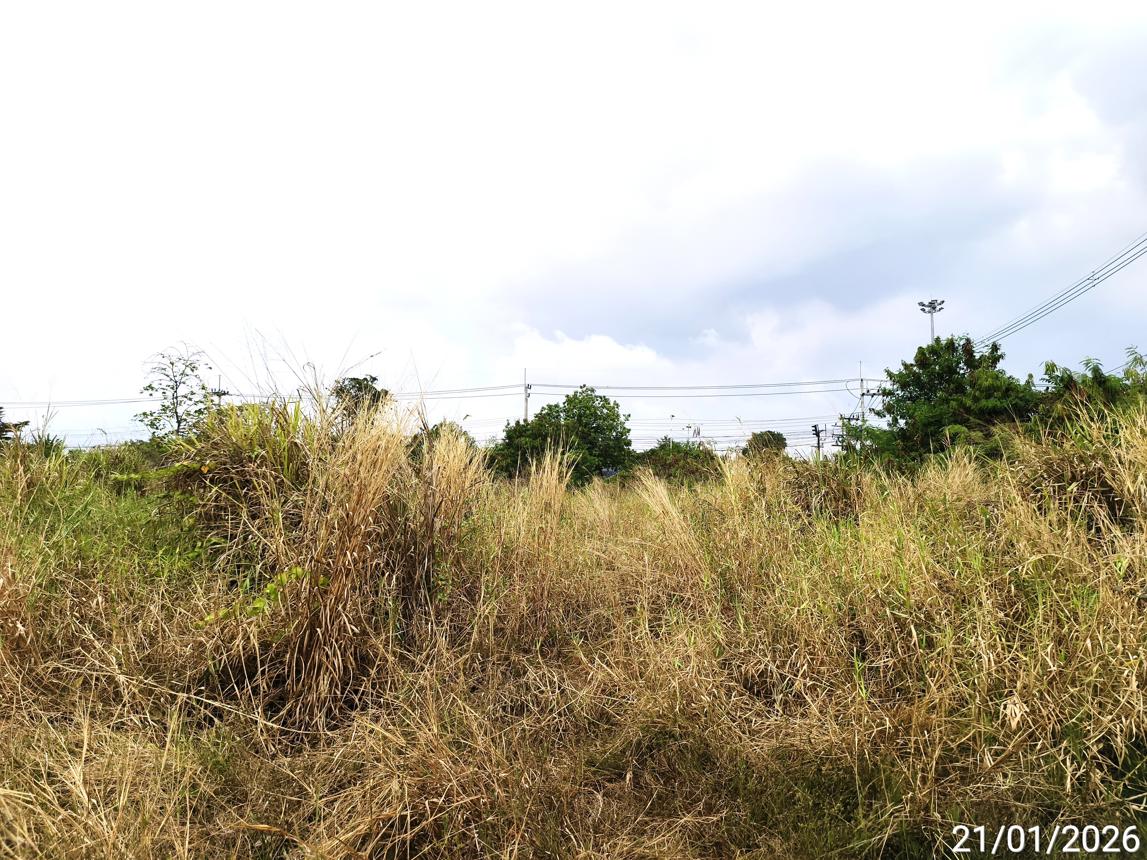 รูป ที่ดินว่างเปล่า 7762.8 ตร.วา บ้านฉาง ระยอง 333.1M - รูปที่ 16/25