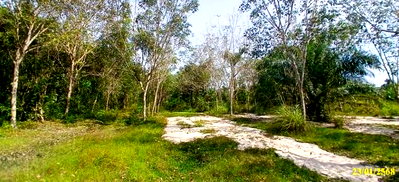 ขายที่ดิน : ที่ดินว่างเปล่า 6838.5 ตร.วา รอตันบาตู เมืองนราธิวาส นราธิวาส 4.5M