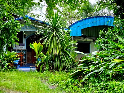 บ้านเดี่ยว บางขัน นครศรีธรรมราช : F4-0527 ขายบ้านเดี่ยว ต. บ้านลำนาว อ.บางขัน จ.นครศรีธรรมราช