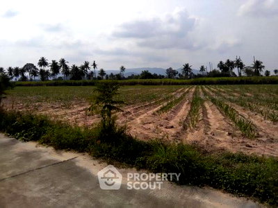 Land for sale Chonburi : Land For Sale In Khlong Kio, Ban Bueng, Chon Buri (ID 2678446)