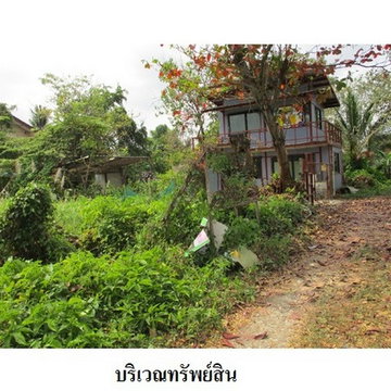 Z8Z4864 ขายที่ดินเปล่า แขวง บางไผ่ เขต บางแค จังหวัด กรุงเทพมหานคร