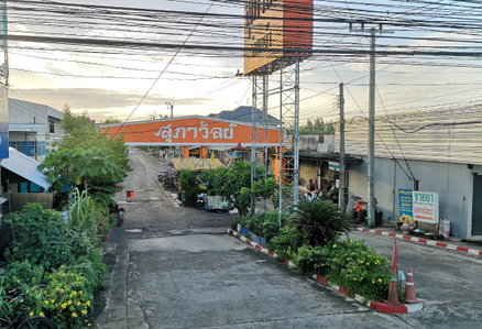 สุภาวัลย์ ร่มเกล้า