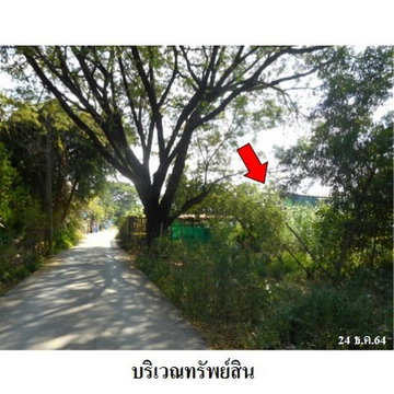 Z8Z7663 ขายที่ดินเปล่า แขวง ทรายกองดิน เขต คลองสามวา จังหวัด กรุงเทพมหานคร