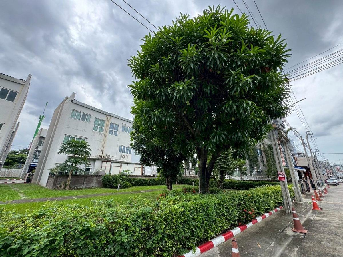 รูป ขายด่วน  ทาวน์โฮม 3 ชั้น กรีนิช รามอินทรา | พื้นที่ใช้สอย 193 ตรม.  - รูปที่ 29/29