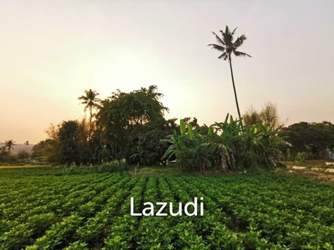 Freehold Agricultural Land in Mae Rim Chiang Mai