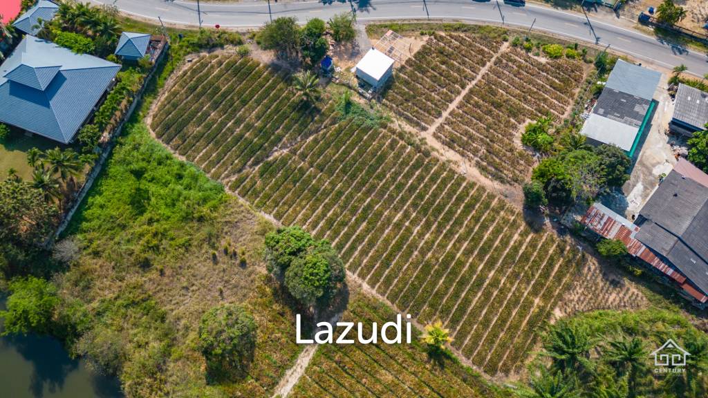 รูป 2 Rai land divided in 4  plots - รูปที่ 5/7