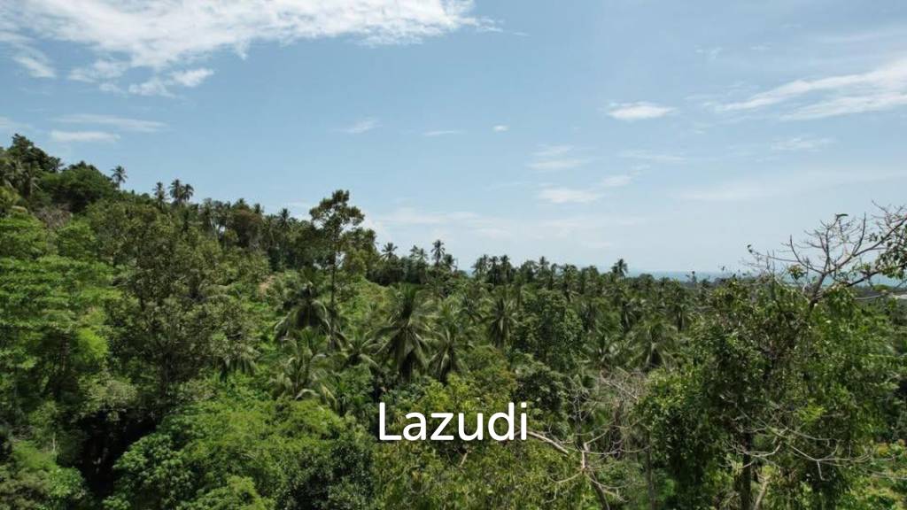 picture 2 Rai Seaview Land Plot for Sale in Lipa Noi - 5/6